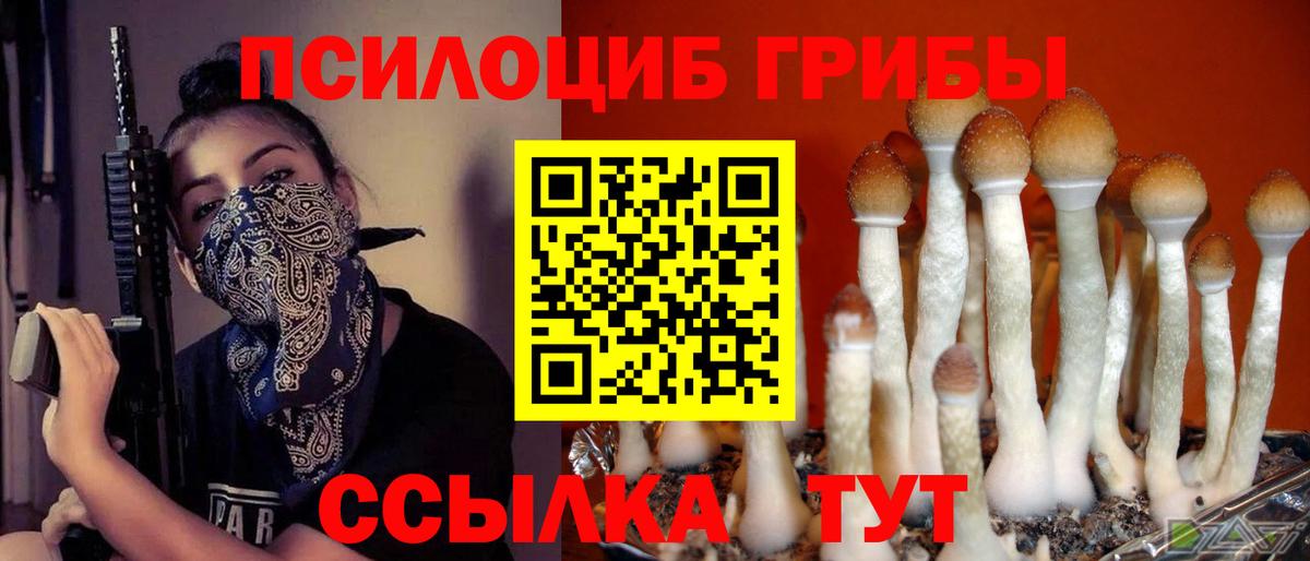 Галлюциногенные грибы мухоморы  Псилоцибиновые грибы прущие грибы  Вход с VPN  Сызрань 